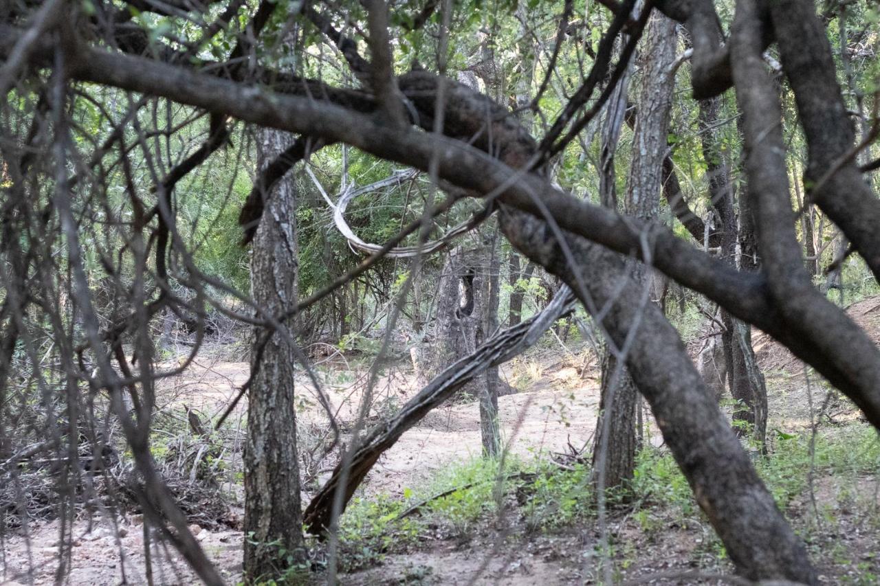 Hello Kruger Hideaway Cottage & Skilpad Studio Marloth Park Exterior foto